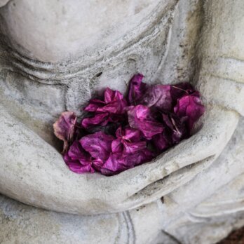 Sai Spa München Haidhausen_Buddha