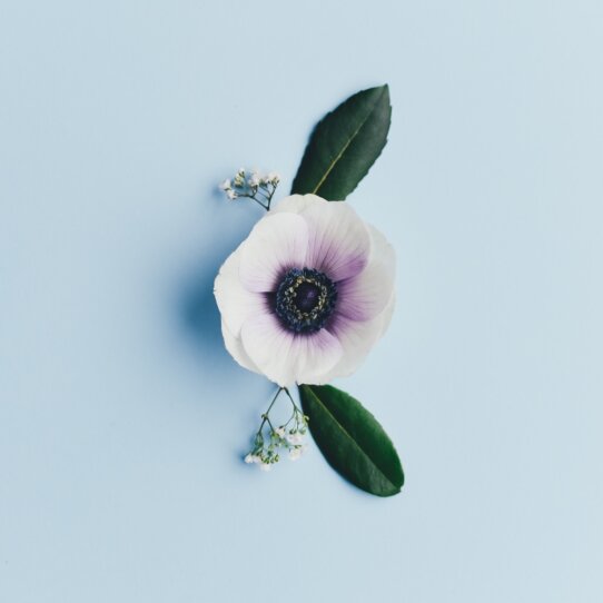 Spa und Wellness München Spa und Wellness München