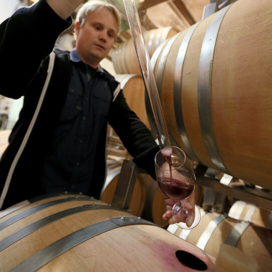 Weinverkostung bei Schwarzenbach Weinbau-12 Weinverkostung bei Schwarzenbach Weinbau-12