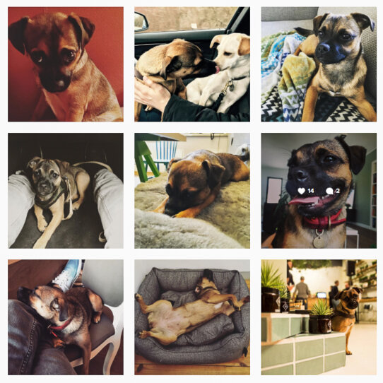 Hertha auf Instagram Hartha auf Instagram