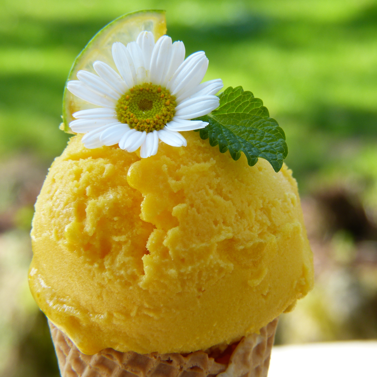 Der verrückte Eismacher München