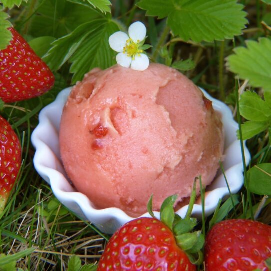 Erdbeereis Vegan Erdbeereis Vegan