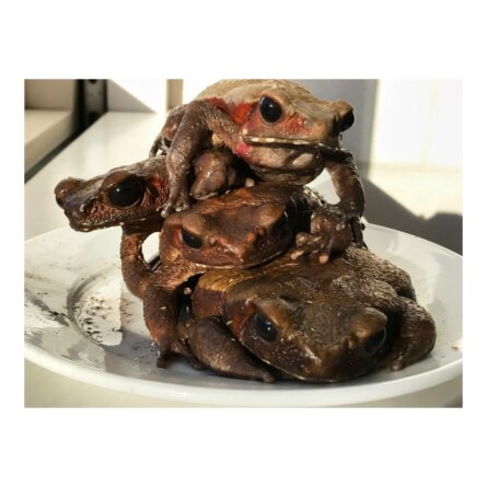 Jürgen Teller Martin-Gropius-Bau