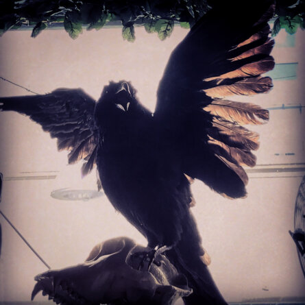 Journey into the night Bar Berlin Charlottenburg-3