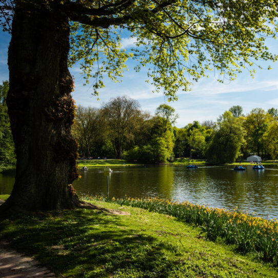 Feringasee Baden in München Top 10 Feringasee