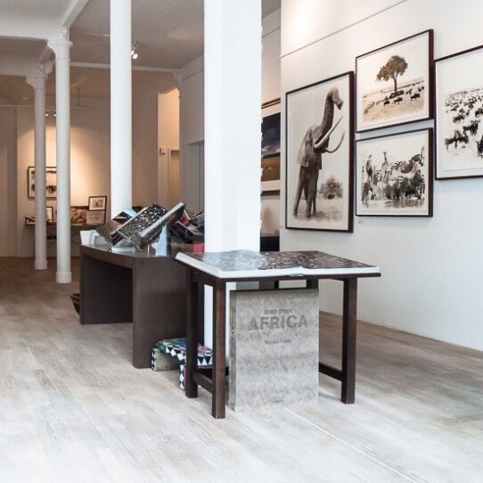 Galerie Poliza Winterhude