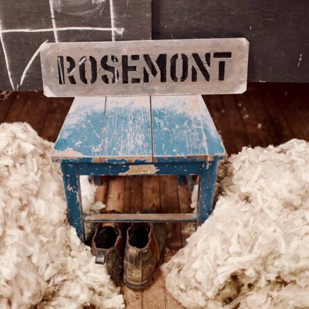 Zue Anna Pullover aus Merinowolle-1