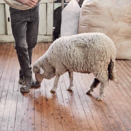 Zue Anna Pullover aus Merinowolle-2