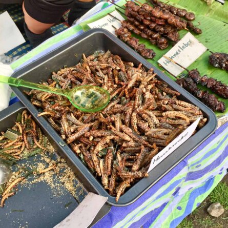 Thai Wiesen Berlin Schöneberg-6