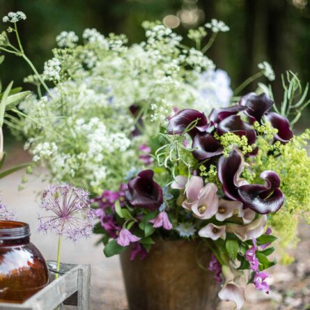 Blumenbett Florist Kollwitzstrasse Berlin-Prenzlauer Berg-7