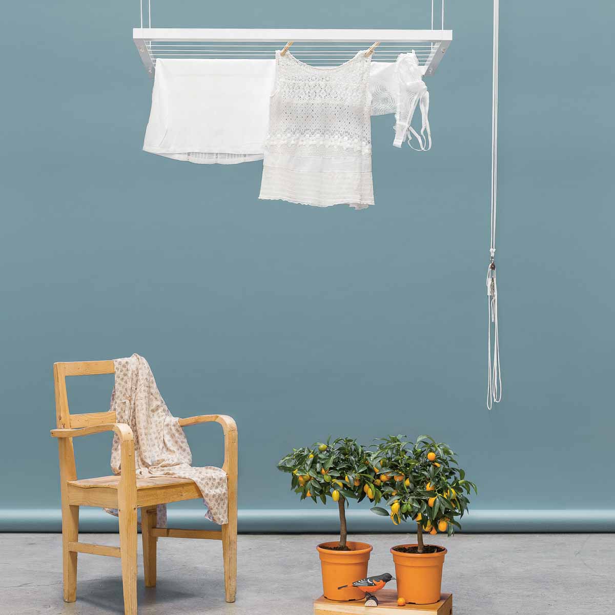 Hangbird Wäschständer zur Befestigung unter der Decke