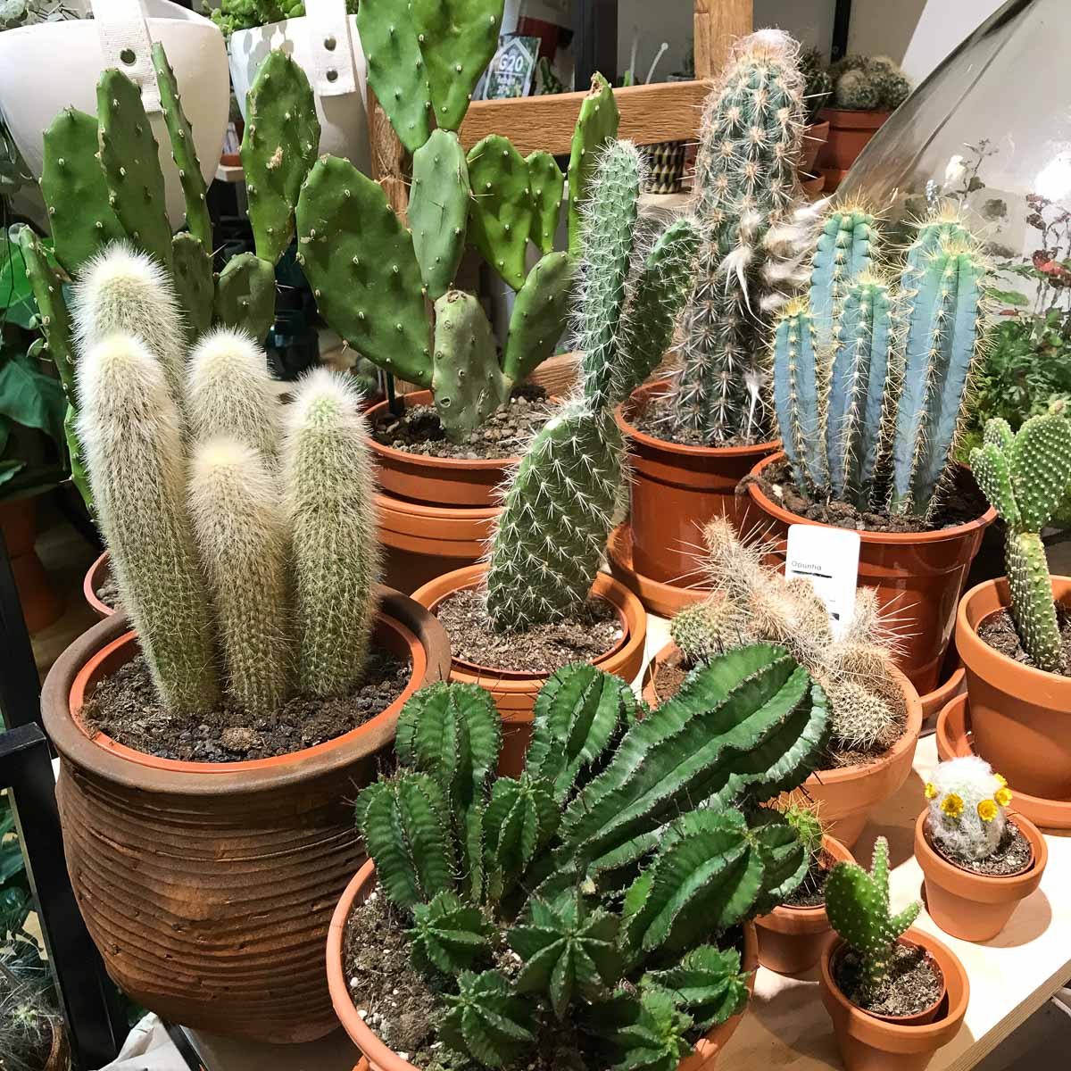 Winkel van Sinkel Hamburg-2