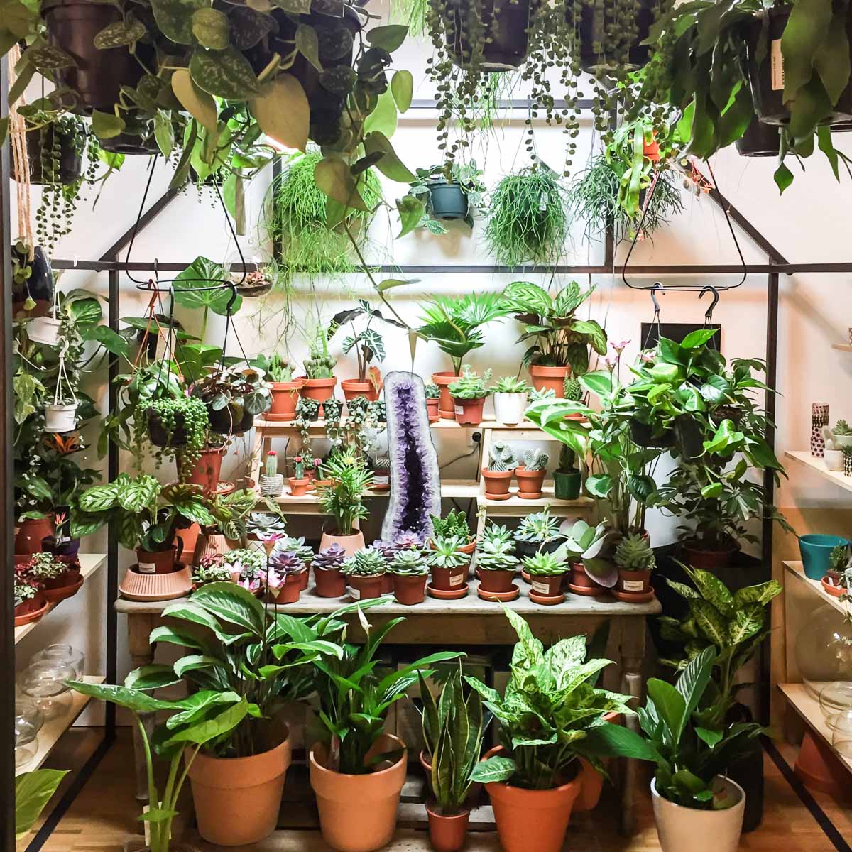 Winkel van Sinkel Hamburg-6