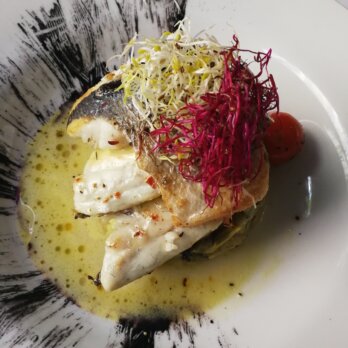 Griechisches Restaurant Ola Kala München Schwabing_Dorade auf Lauchgemüse Griechisches Restaurant Ola Kala München Schwabing_Dorade auf Lauchgemüse