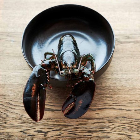 Restaurant Silo Kopenhagen Meeresfruechte