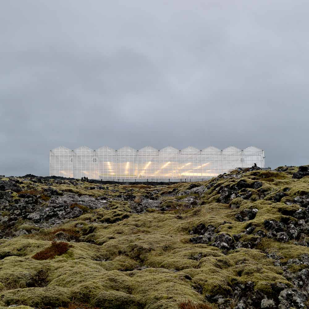 Beautylabel Bioeffect 1