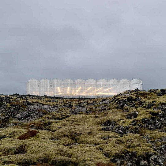 Beautylabel Bioeffect 1