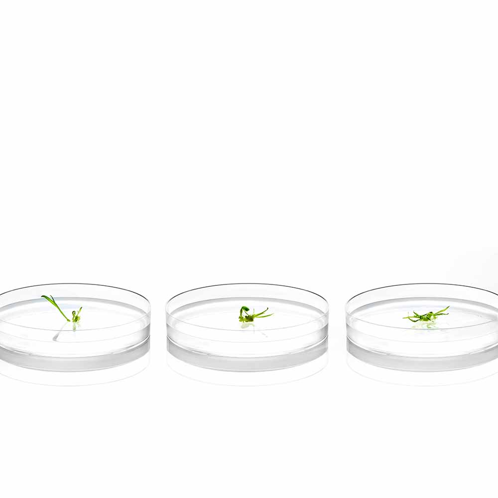 Beautylabel Bioeffect 9