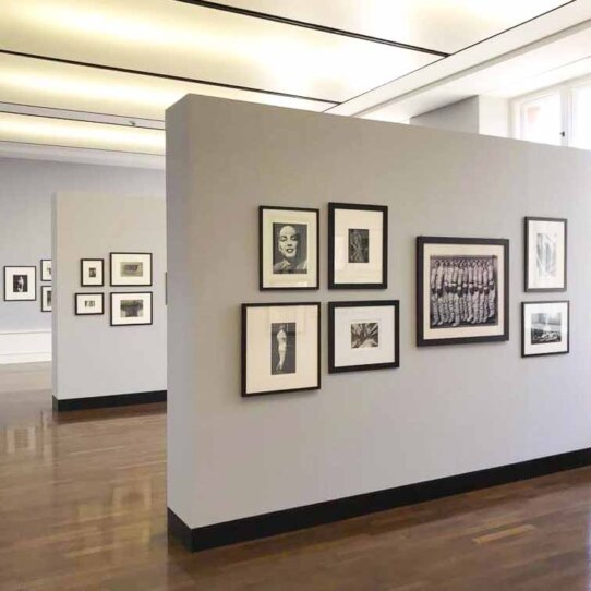 Between Art & Fashion. Die Sammlung Carla Sozanni bei Helmut Newton Between Art & Fashion. Die Sammlung Carla Sozanni bei Helmut Newton