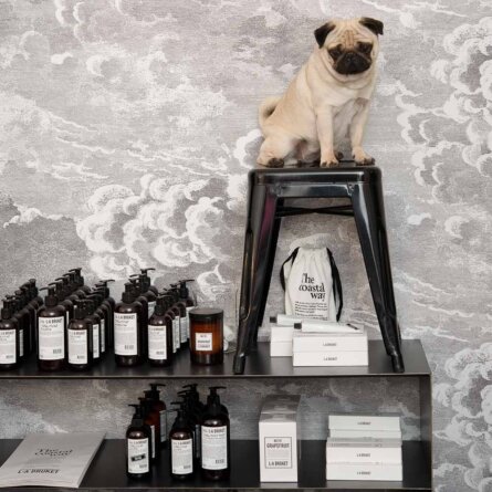 Concept Store My perfect Sunday in Hamburg-Eppendorf 10 ©Mirjam Fruscella