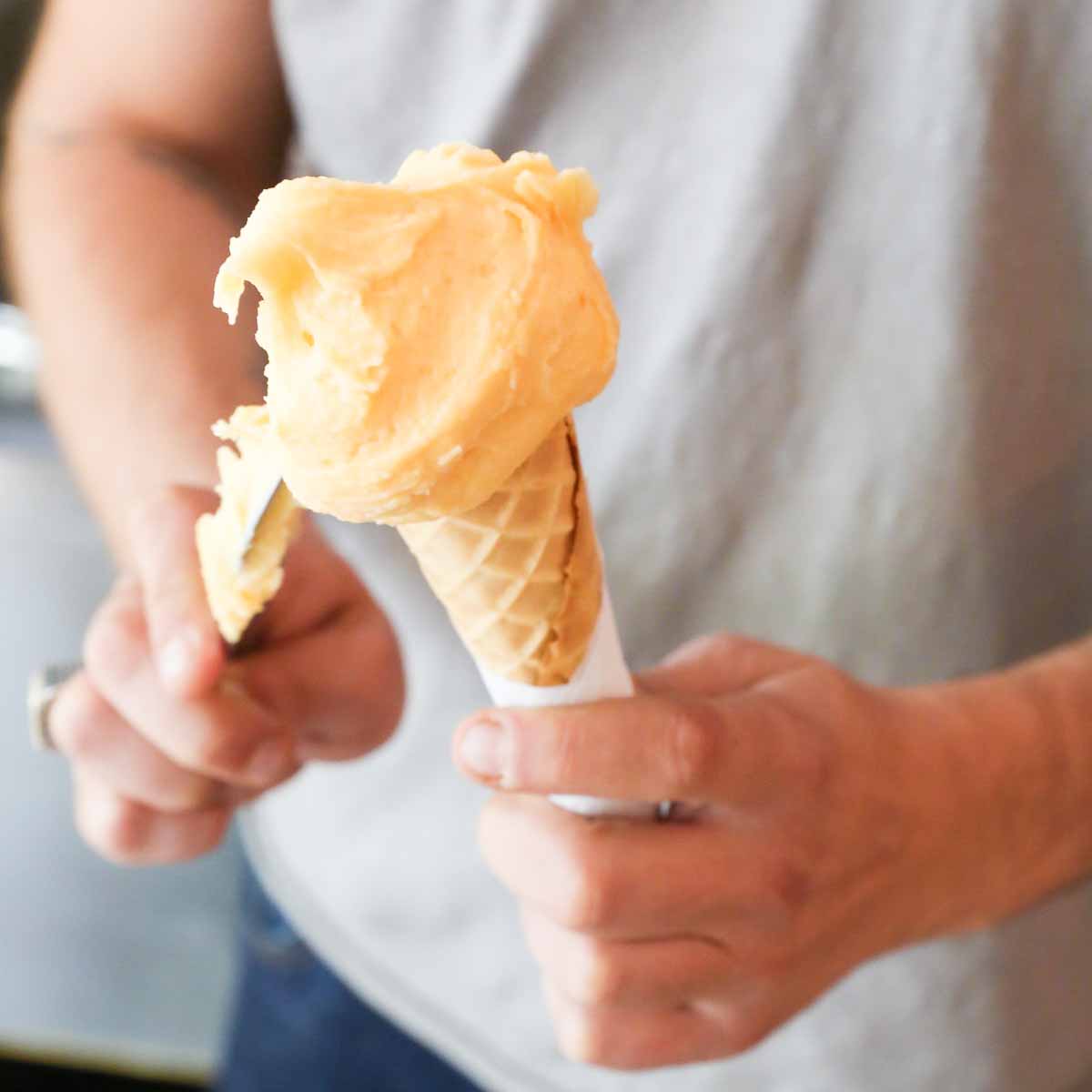 Early Bird Italienische Eisdiele und Gelateria_-2