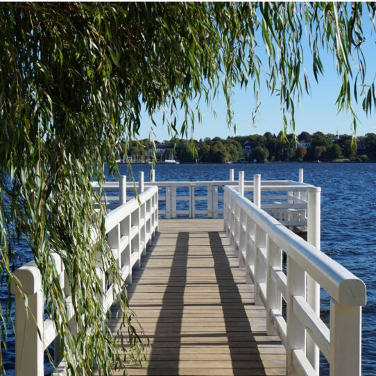 Garten Liebermann Villa Berlin