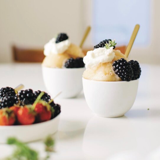 Zitronenthymian-Vanille-Sorbet von Lily Diamond