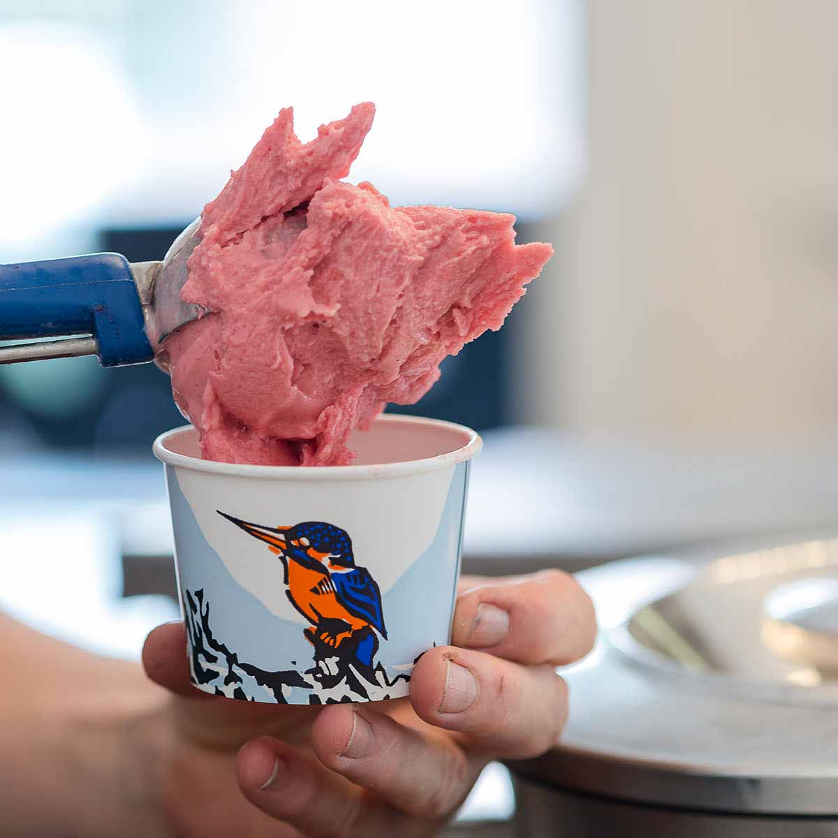 Eisvogel Glace_kulinarische Reportage mit Rezepten