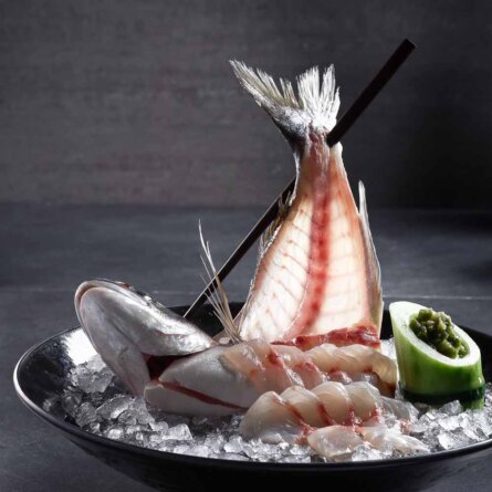 momo cookbook photo : www.danp.co.il