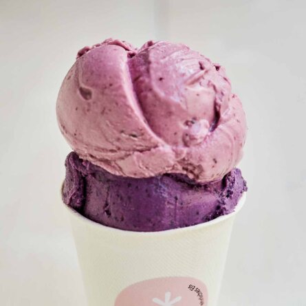 Vegane Eisdiele Veganista in Wien-7