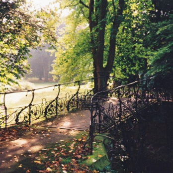 Friedhof Ohlsdorf Hamburg