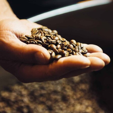 Zazza Kaffeerösterei in Berlin Kreuzberg-2