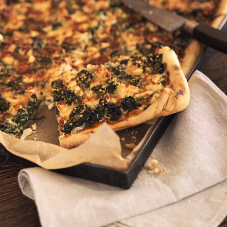 Café Apoteke in Zürich-3