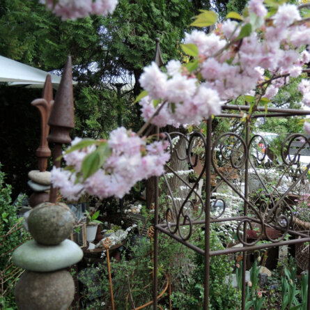 Blumengalerie Isolde Rieser München (1)
