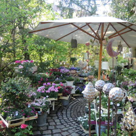 Blumengalerie Isolde Rieser München