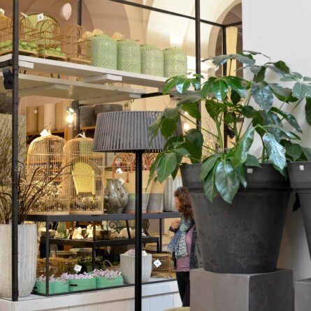 Lederleitner Blumen und Gartenkunst in Wien-2