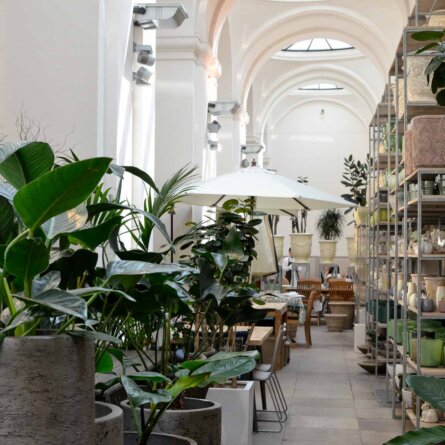 Lederleitner Blumen und Gartenkunst in Wien-3