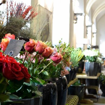 Lederleitner Blumen und Gartenkunst in Wien-4