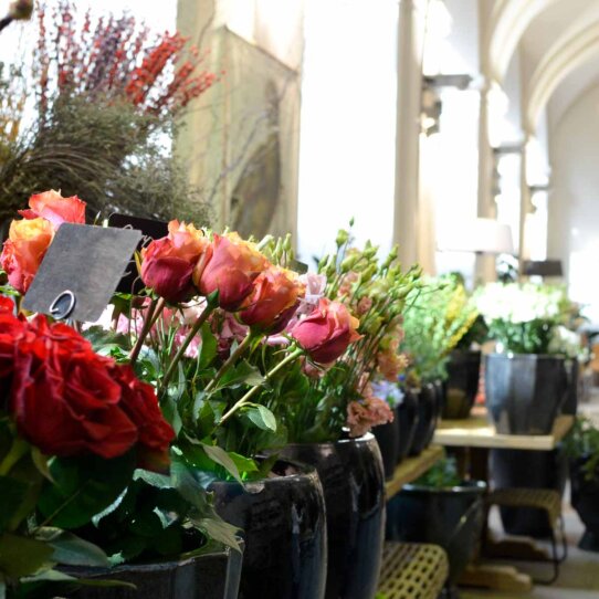 Lederleitner Blumen und Gartenkunst in Wien-4