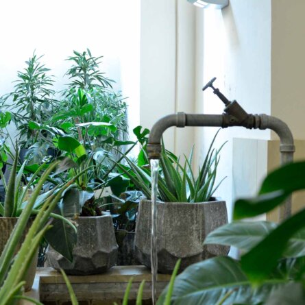 Lederleitner Blumen und Gartenkunst in Wien