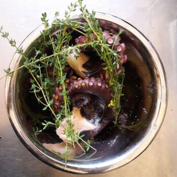 Restaurant Maselli in Berlin Kreuzberg Restaurant Maselli in Berlin Kreuzberg