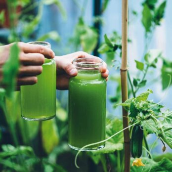 Rezept für Geeiste Gurken-Limetten-Limonade Rezept für Geeiste Gurken-Limetten-Limonade