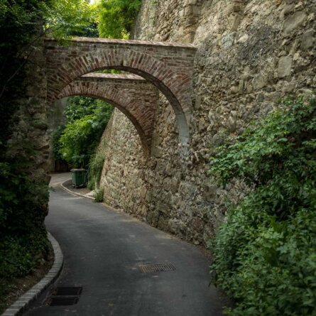 Stadtwanderweg 1a in Wien-10