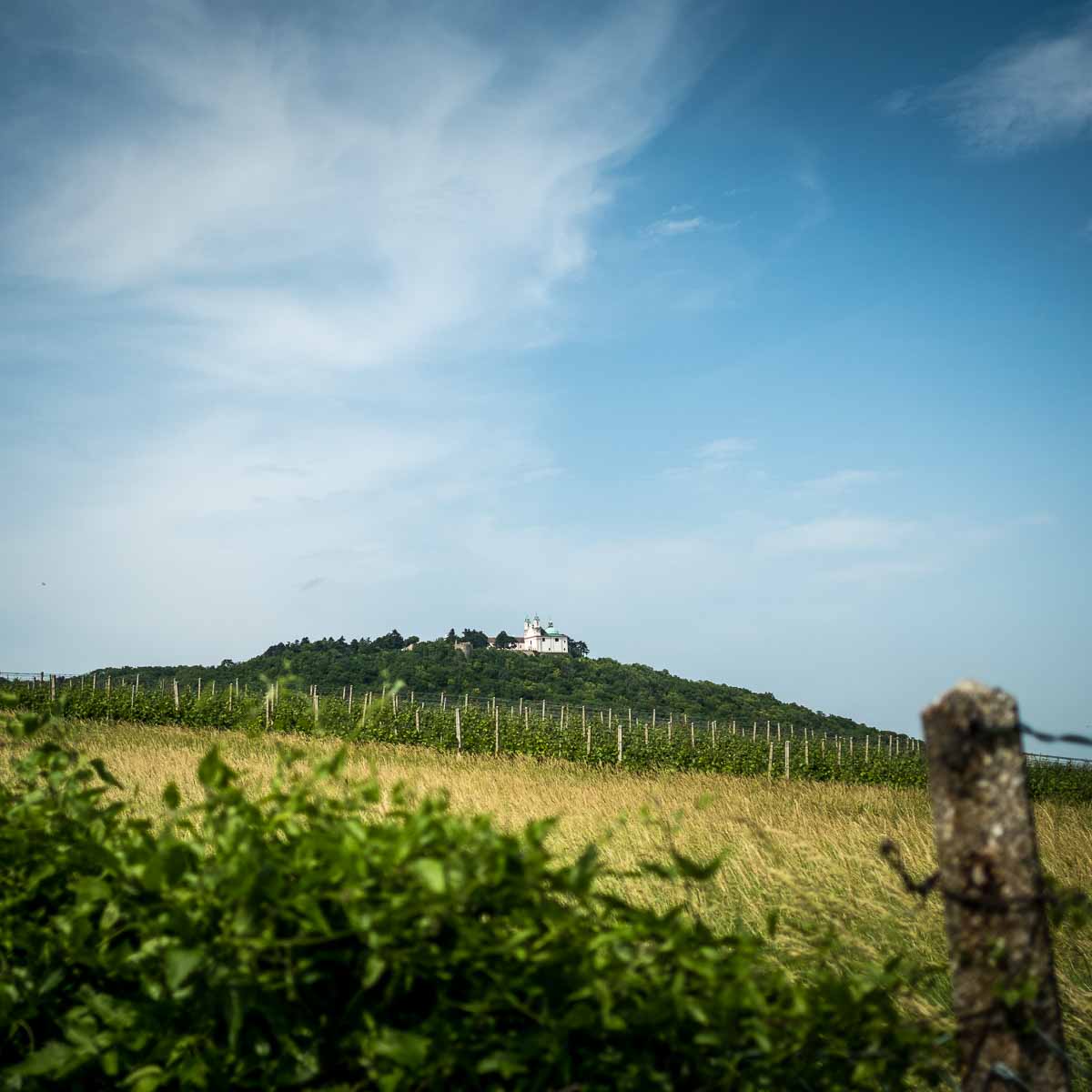 Stadtwanderweg 1a in Wien-5