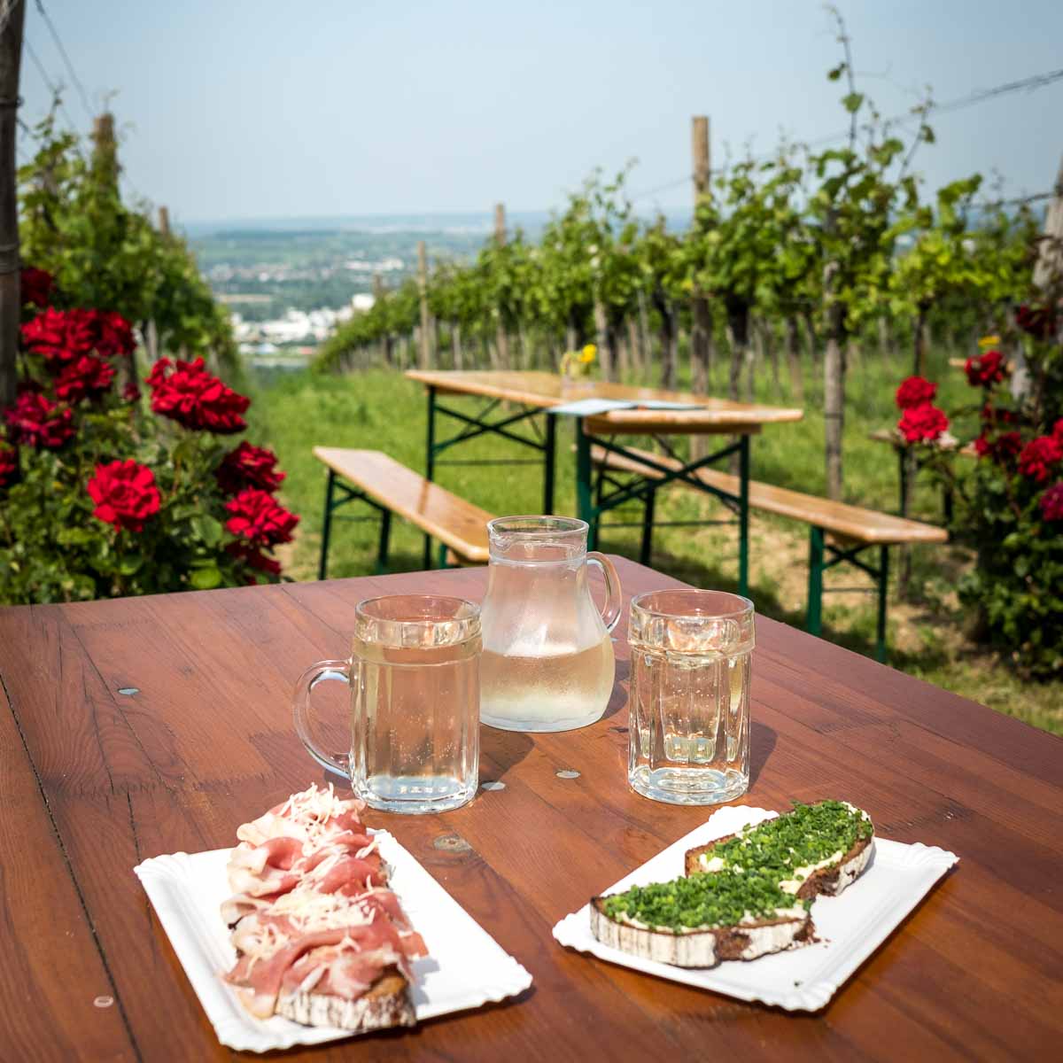 Stadtwanderweg 1a in Wien-7