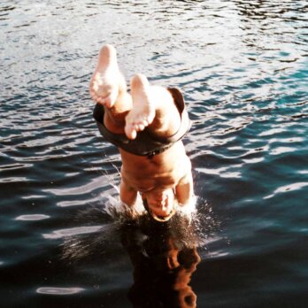 Top 5 Badeplätze in Wien