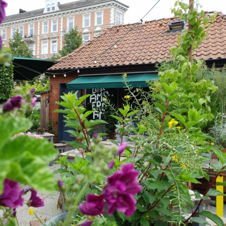 Café Little Amsterdam in Hamburg-Hoheluft-4