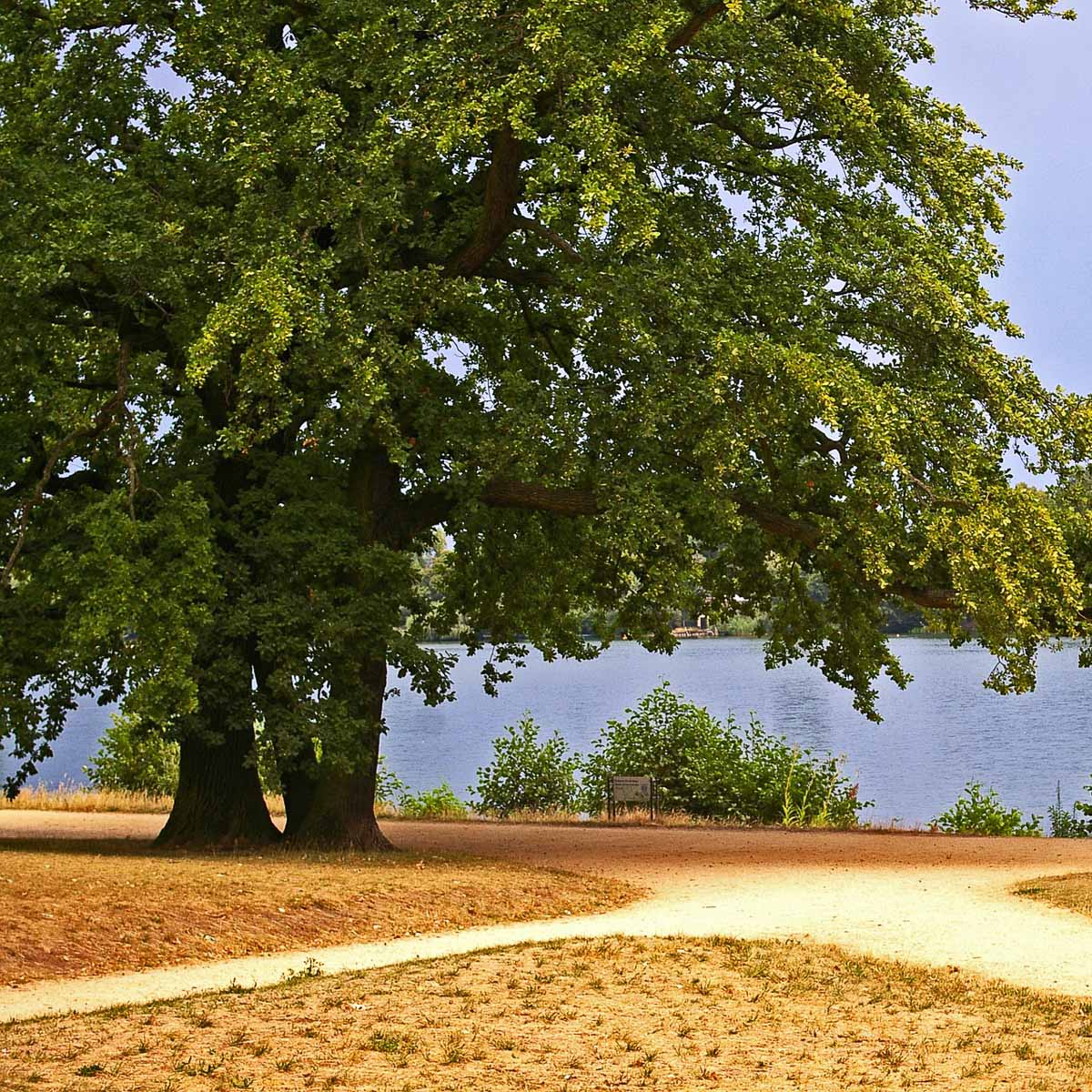 Der Heilige See in Potsdam