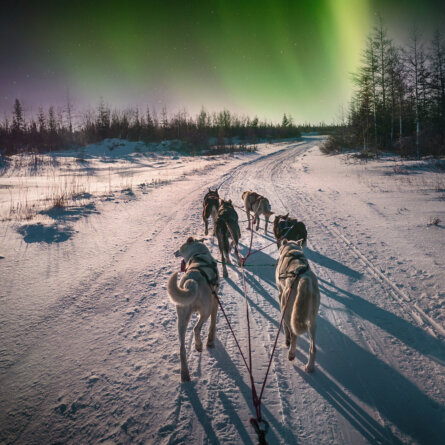 Island-Entdeckungstour (10)