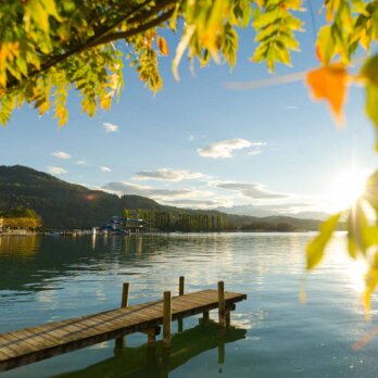 The Original FX Mayr Herbst Modul 2019-20-2